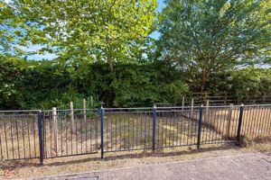 Front Garden- click for photo gallery